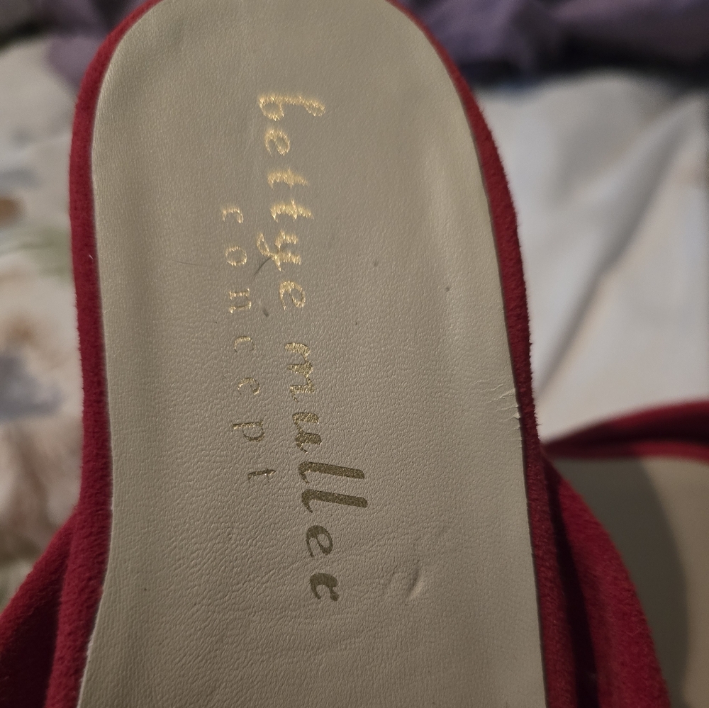 Red Slides - Picture 2 of 4